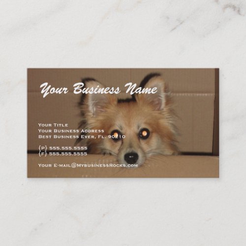 Professional Animal Grooming Business Cards