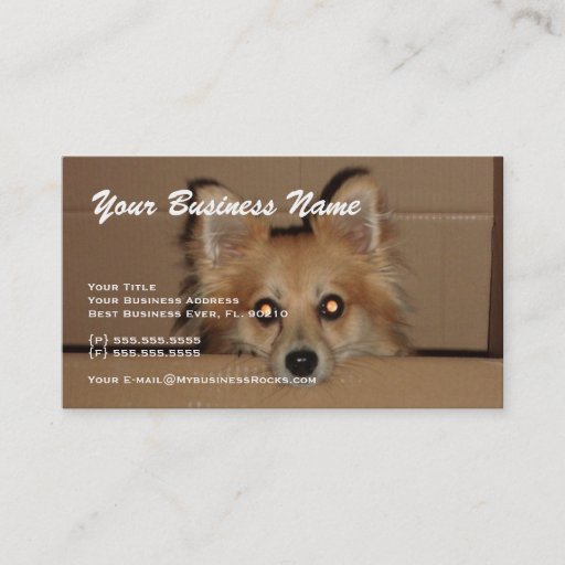 Customizable Professional Animal Grooming Business Cards
