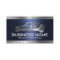 Professional Auto Repair Blue Metal Automotive