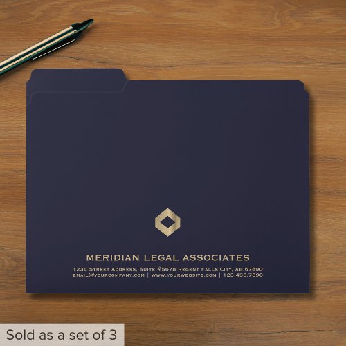 Professional Blue Legal File Folder