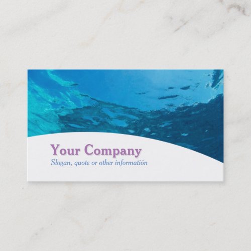 Professional Business Card