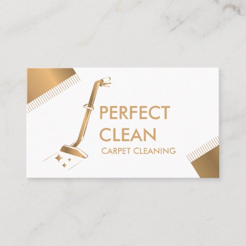 Professional Carpet Cleaning and Floor Cleaning  B Business Card