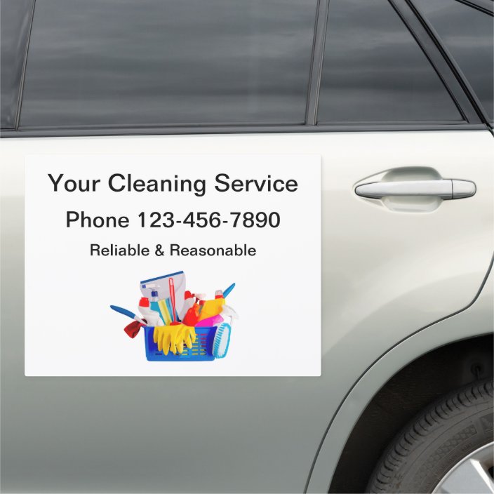 Professional Cleaning Service Mobile Car
