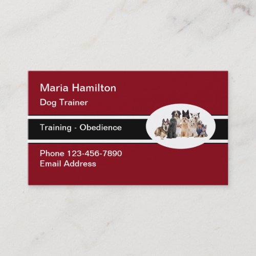 Professional Dog Trainer Modern Business Card