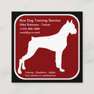 Professional Dog Training And Obedience Square Business Card