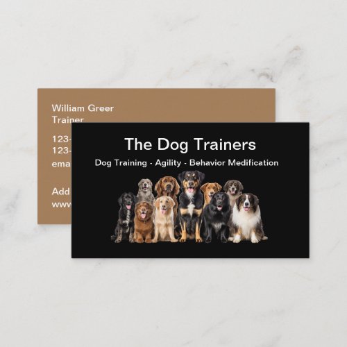 Professional Dog Training Business Cards