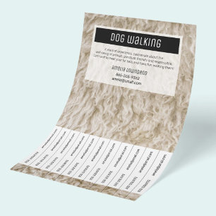 Professional Dog Walker Flyers Miminal Pet Sitter
