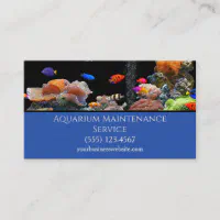 How to Start an Aquarium Maintenance Business