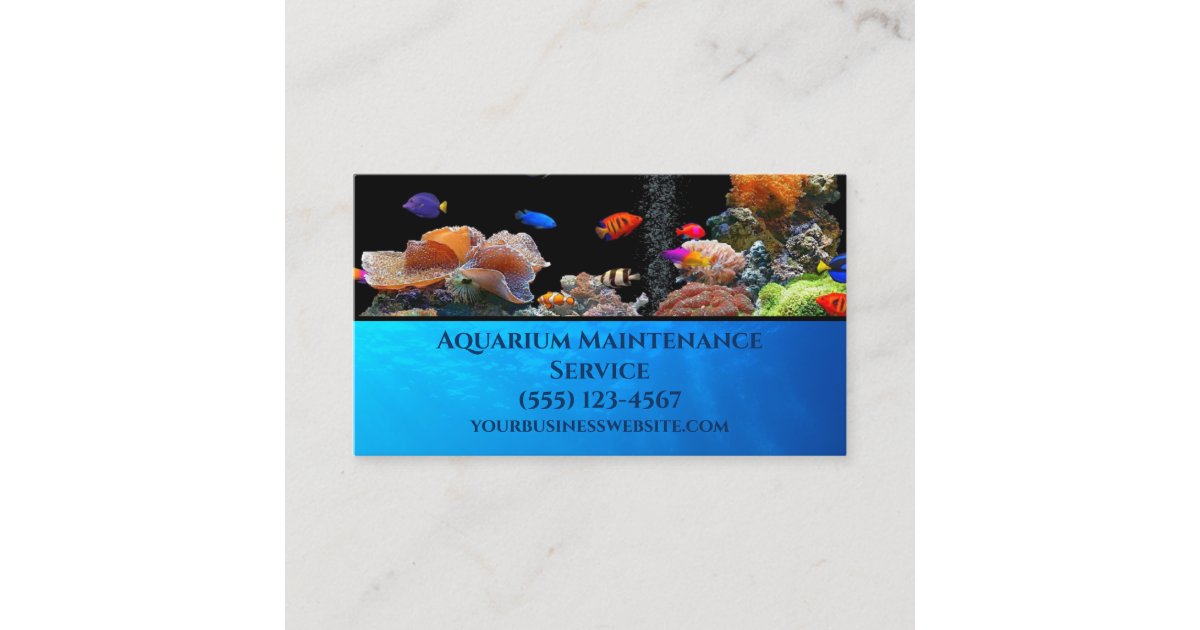 How to Start an Aquarium Maintenance Business