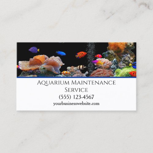 Professional Fish Aquarium Maintenance Service Business Card