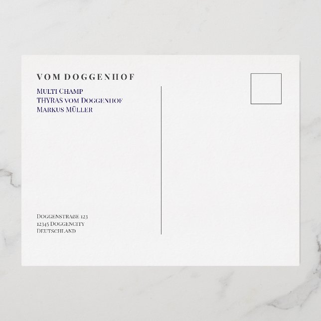 Professional Great Dane Kennel  Foil Holiday Postcard (Back)