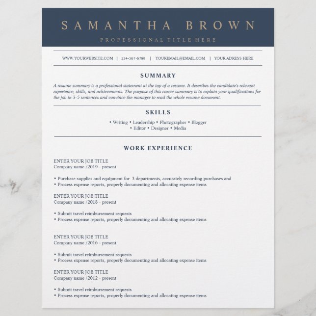 Professional job application resume navy (Front)