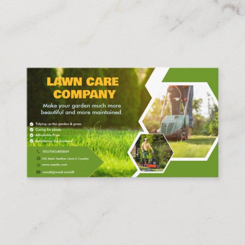 Professional Lawn Care  Business Card