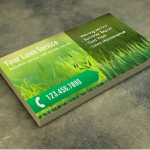 Professional Lawn Care & Landscaping Business Card
