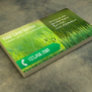 Professional Lawn Care & Landscaping Business Card