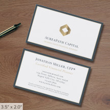 Professional Luxury Logo