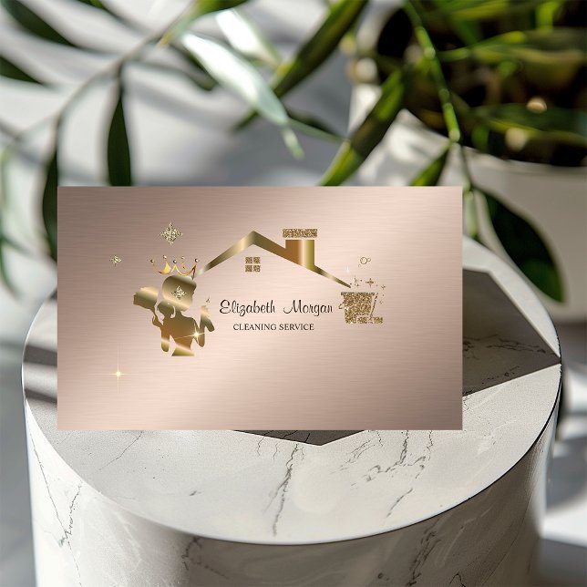 Professional Maid Cleaning House Business Card (Creator Uploaded)