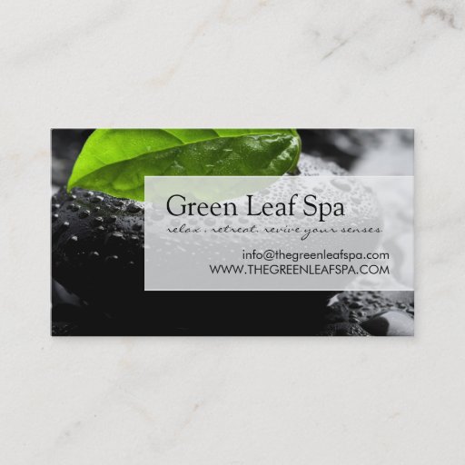 Customizable Professional Massage / Spa Business Card