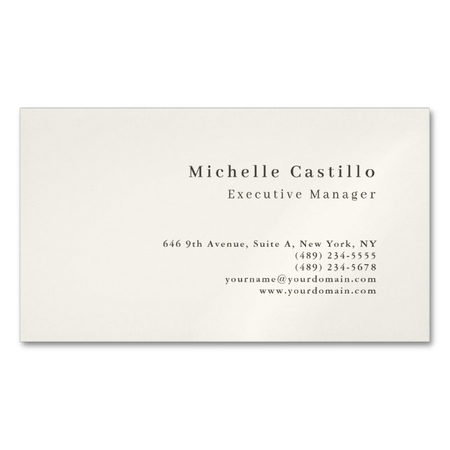 Professional Minimalist Modern Business Card Magnet (Front)