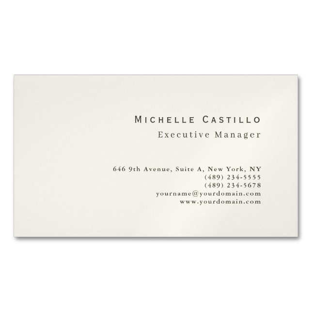 Professional Minimalist Modern Business Card Magnet (Front)