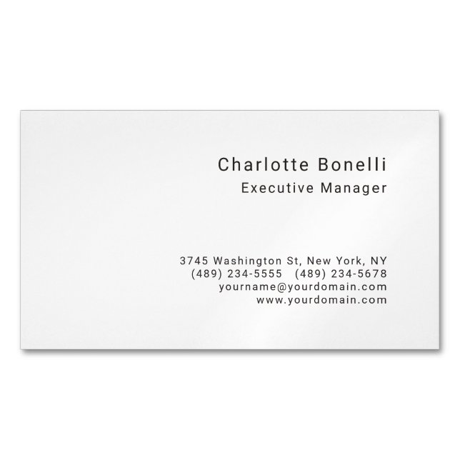 Professional Modern Minimalist  Business Card Magnet (Front)