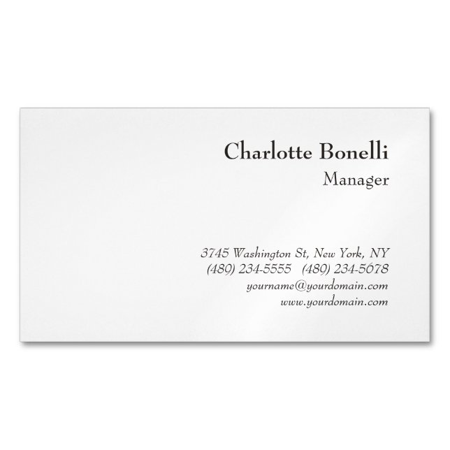 Professional Modern Minimalist Business Card Magnet (Front)