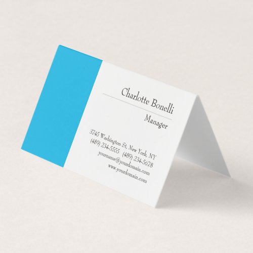 Professional Modern Minimalist Plain Business Card