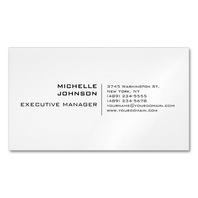 Professional Modern Minimalist Plain Business Card Magnet (Front)