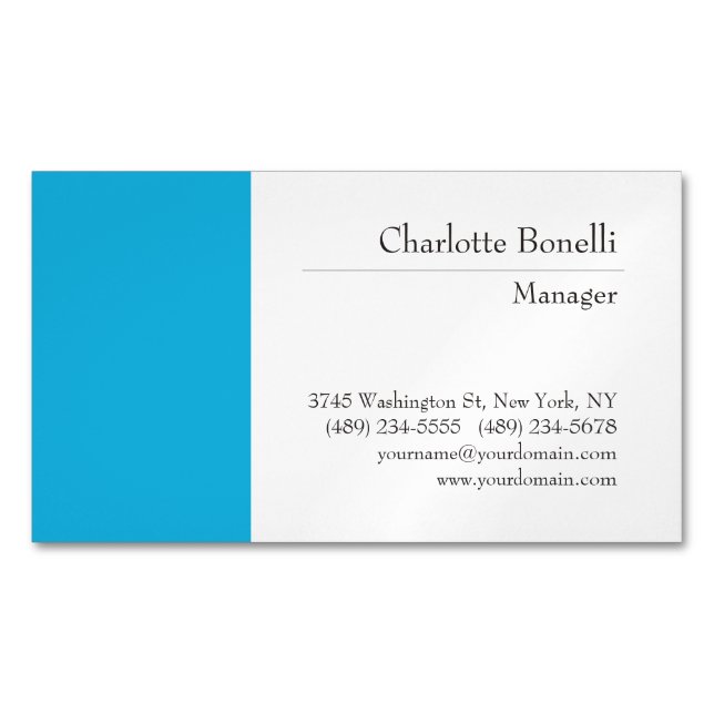 Professional Modern Minimalist Plain Business Card Magnet (Front)