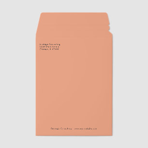 Professional Modern Minimalist Simple Consultant Envelope Mailers