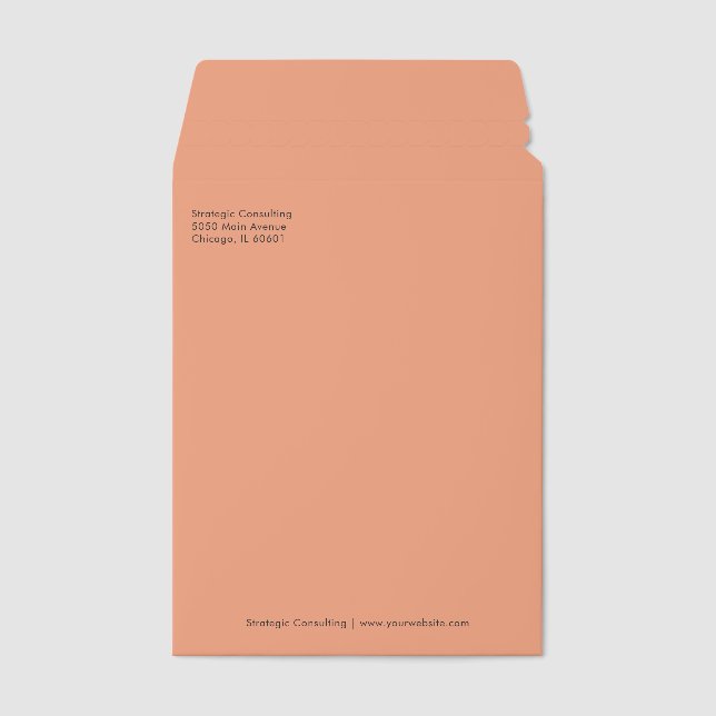 Professional Modern Minimalist Simple Consultant Envelope Mailers (Front)