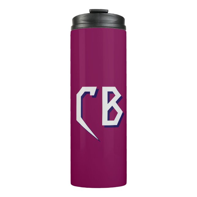 Professional Modern Monogram Minimalist Initials Thermal Tumbler (Front)