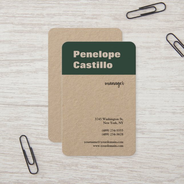 Professional Modern Simple Stylish Business Card (Front/Back In Situ)