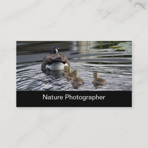 Professional Nature And Wildlife Photographer Business Card