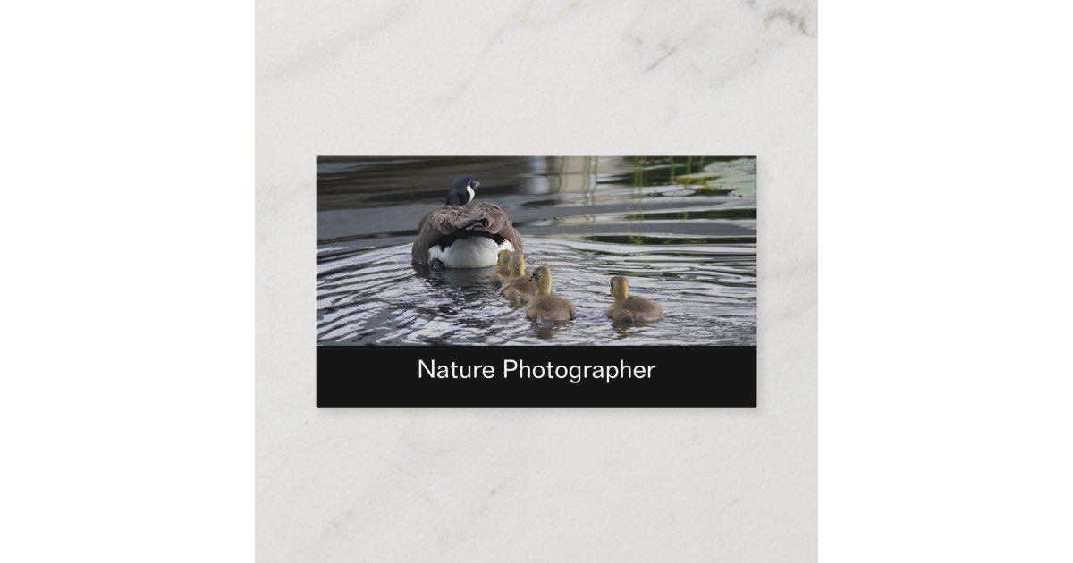 Professional Nature And Wildlife Photographer Business Card Zazzle