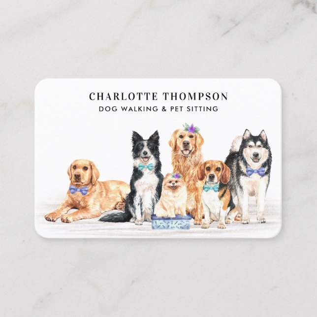 Professional Pet Sitter Dog Groomer Dog Walker  Bu Business Card