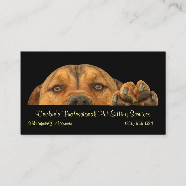 Professional Pet Sitting Services Business Business Card (Front)