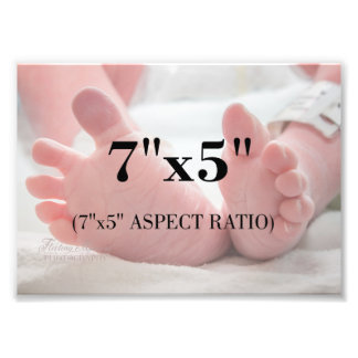 Professional Photo Template 7 x 5 Aspect Ratio