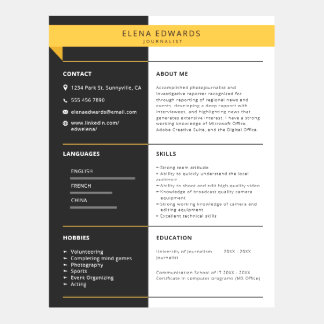 Professional Resume Template