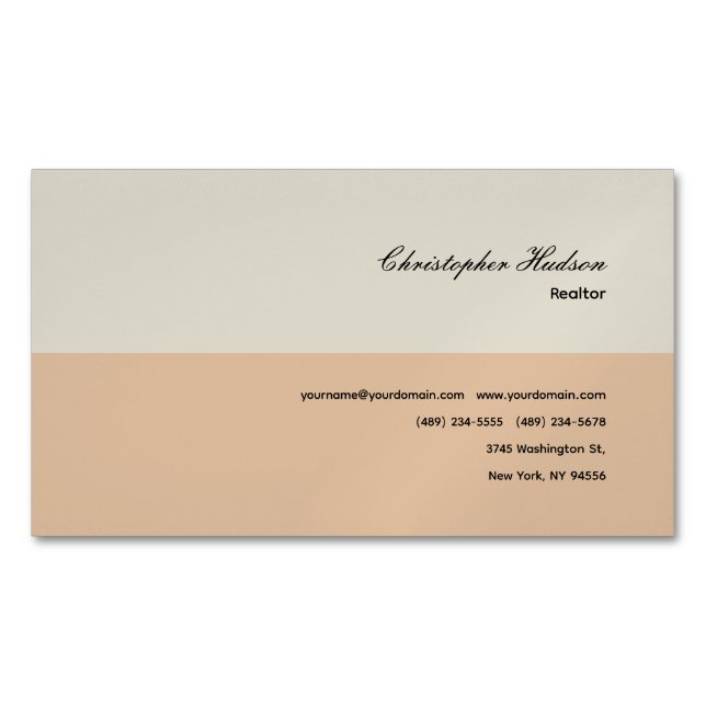 Professional Simple Plain Realtor Real Estate Business Card Magnet (Front)