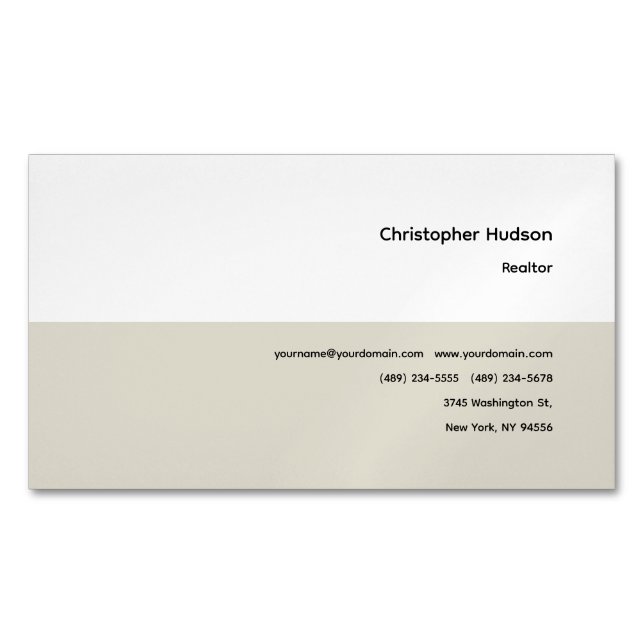 Professional Simple Plain Realtor Real Estate Business Card Magnet (Front)