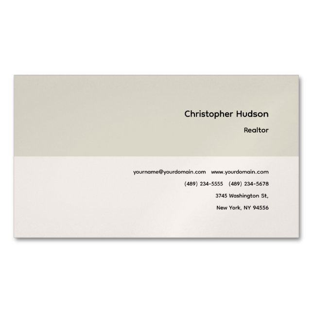 Professional Simple Plain Realtor Real Estate Business Card Magnet (Front)