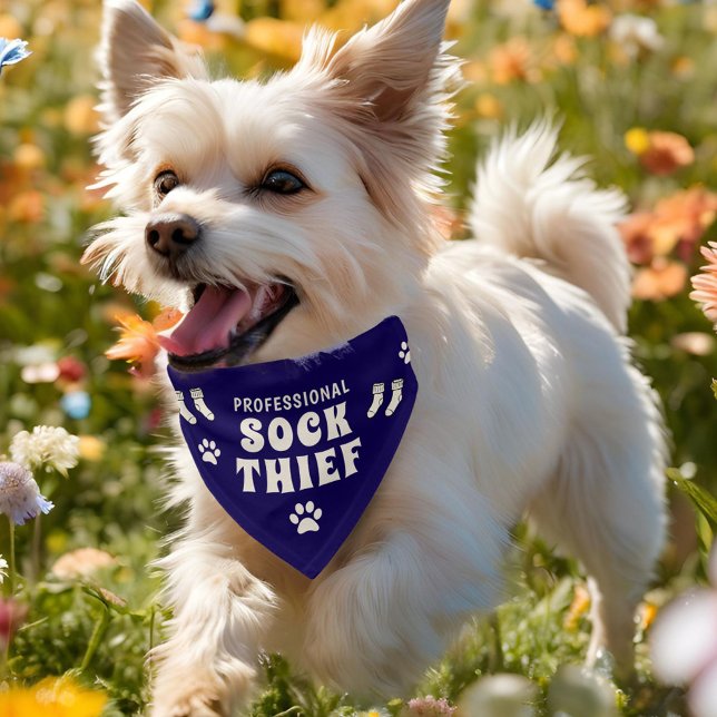 Professional Sock Thief Paw Funny Dog Pet  Bandana Collar (Creator Uploaded)