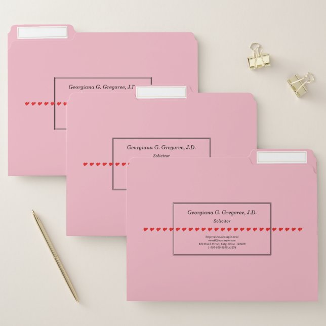 Professional Solicitor File Folders (Set)