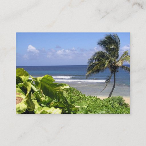 Customizable Professional Travel Business Card