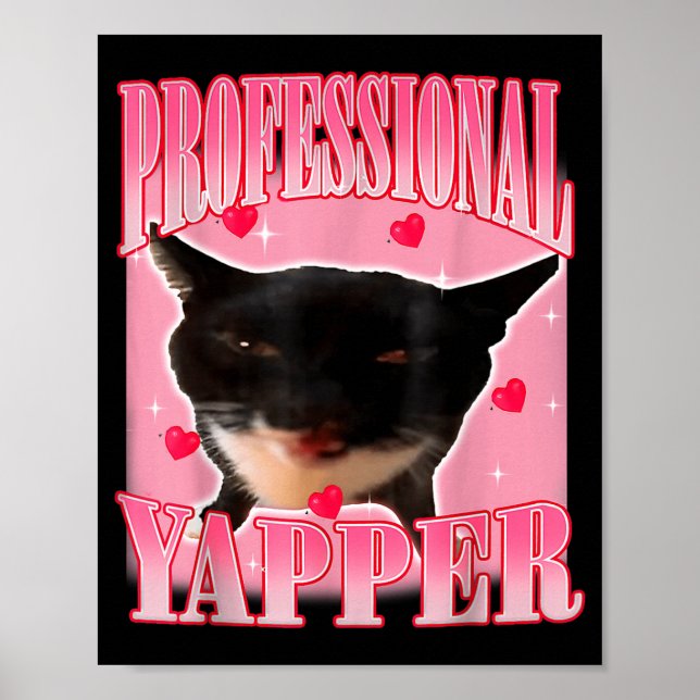 Professional Yapper Cat Funny Oddly Specific Dank  Poster (Front)