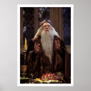Professor Dumbledore Poster