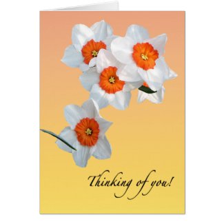 Professor Einstein's Daffodil Flowers Floral Card
