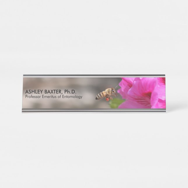 Professsor Entomology Insects BeeKeeper Hobbyist D Desk Name Plate (Front)
