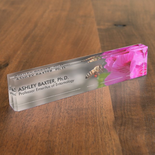 Professsor Entomology Insects BeeKeeper Hobbyist Desk Name Plate (Side)